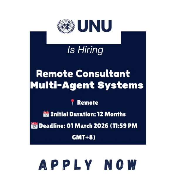 Open Position for Remote Consultant in Multi-Agent Systems