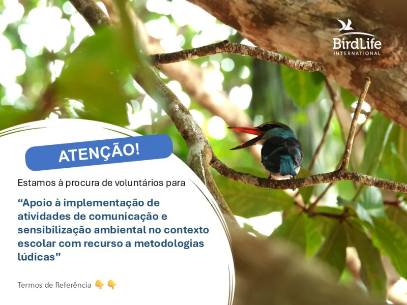 Vaga Para Voluntários Na Implementação de Atividades de Comunicação e Sensibilização