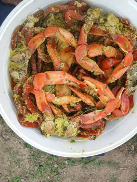 Vendo Craque do Príncipe - Já Preparado